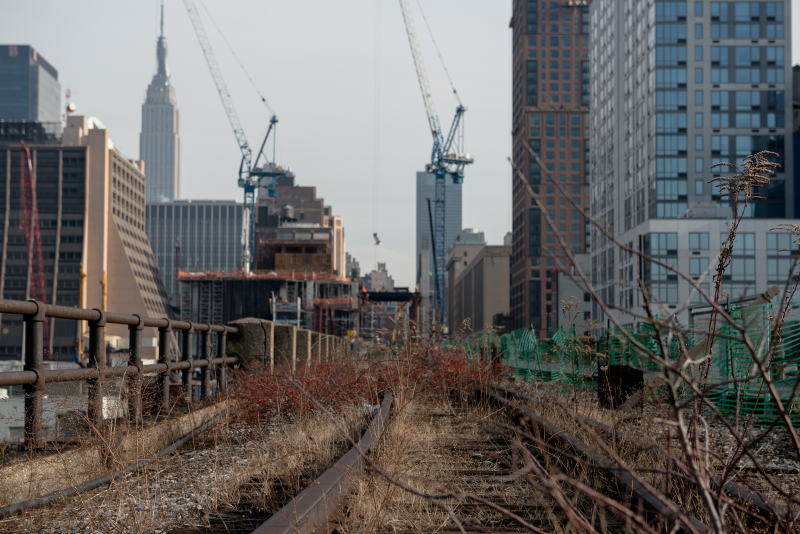 Illustration for article titled Tour the Hidden Art Gallery on the High Line's Last Unfinished Stretch